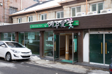 메주애꽃