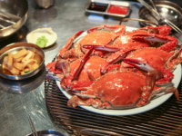 조게찜터