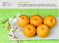 낙산배농원