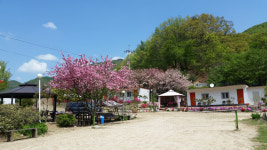 행복농원