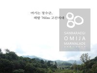 산바래기오미자농장