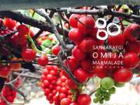 산바래기오미자농장