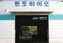 멘토바이오