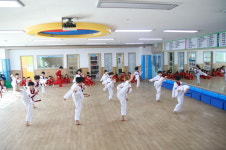 성화태권도