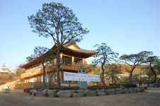 소나무정원