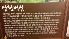 부자상황삼계탕&벌교꼬막