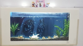 아이행복한어린이집