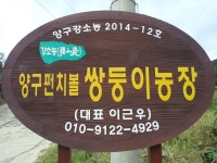 쌍둥이사과농장
