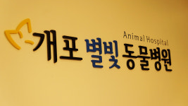 개포별빛동물병원