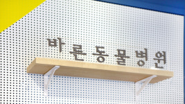 바른동물병원