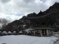 꽃뱅이정원펜션