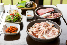 산애들애
