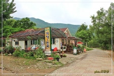 금성식당민박