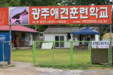 광주애견훈련학교