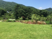 꽃뱅이정원펜션