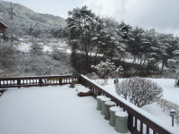 꽃뱅이정원펜션