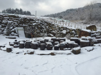 꽃뱅이정원펜션