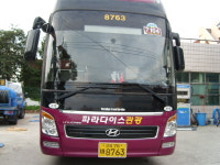 천일차유리 포항