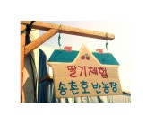 송촌호반딸기체험농장