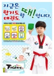 J TIGERS 태권도 합기도 인라인 스키레슨