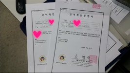 서초번역행정사