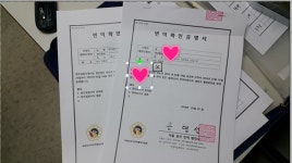 서초번역행정사