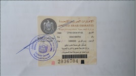 서초번역행정사