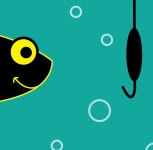 다낚아 낚시카페