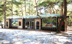 회동솔향캠핑장