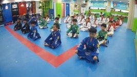 고려대명문태권도