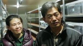 굼벵이 희망곤충농장