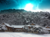 명암산채건강마을