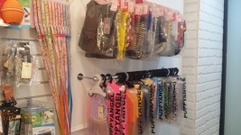 코아루똥강아지