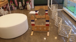 코아루똥강아지