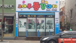 코아루똥강아지