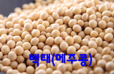 축복의땅 에덴동산