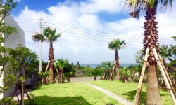 쉐프1192레스토랑