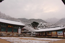 갑사