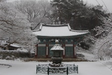 갑사