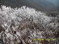 백운산농원가든
