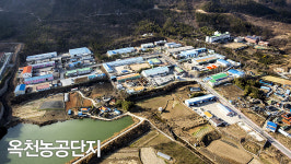 비엔지