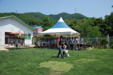 도기파파반려견학교