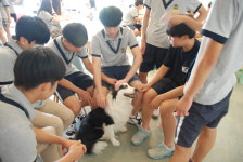 도기파파반려견학교