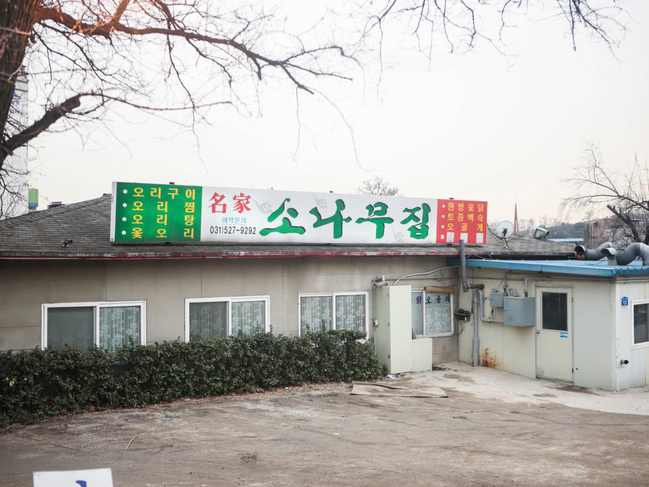 뚱돈 이미지