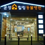 운정힐링동물병원
