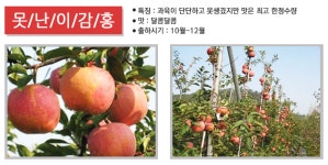 예술사과농원
