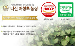 다산어성초농장