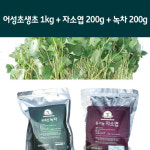 다산어성초농장