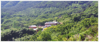 구례산수유자연휴양림