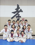 경희대효태권도